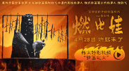 香蕉视频在线观看国产